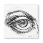 Hawk Eye magnets