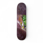 Hawk focused in flight--closeup skateboards