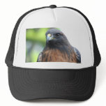Hawk hat