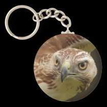 Hawk Head Keychain keychains