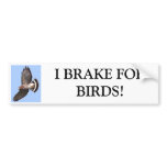 Hawk, I BRAKE FORBIRDS! bumper stickers