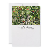 Hawk In Apple Tree Photo Personalized Invitation
