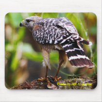 Hawk Mouse Pad