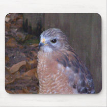 Hawk Mouse Mat