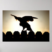 Hawk On Fence Poster