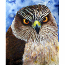 Hawk Photo Sculpture