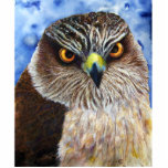 Hawk Photo Sculpture photo sculptures