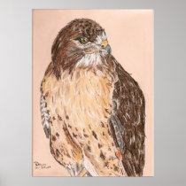Hawk Posters