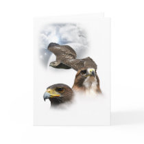 Hawks Greeting Card