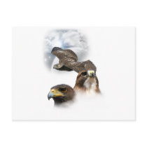 Hawks Post Cards