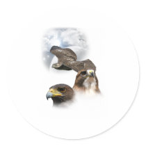 Hawks Round Sticker