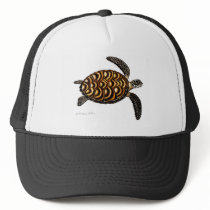 Hawksbill Sea Turtle