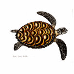 Hawksbill Sea Turtle photo sculptures