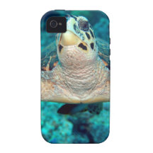 Hawksbill Turtle iPhone 4 Covers