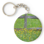 Hawkweed at Split Rail Fence Matching Items Key Chain