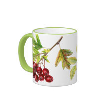 Hawthorn & rose hip botanical art green mug