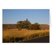 Hay Greeting Card