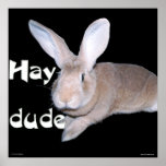 Hay Dude Posters