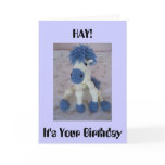 HAY! It's Your Birthday cards