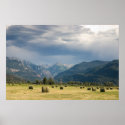 Hay posters