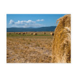 Hay Shasta 2 postcards