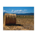 Hay Shasta 3 postcards