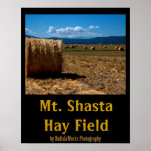 Hay Shasta 3 Posters