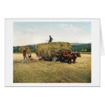 Haying in New England - Vintage 1900 Greeting Card