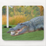 Hazardous Lie Golfing Alligator Mousepad