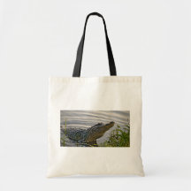 HDR Gator Bags