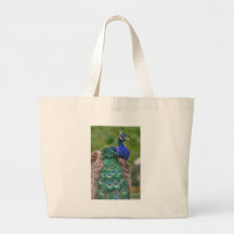 HDR Peacock Bird Birds Pretty Beautiful Photo Pic Canvas Bag