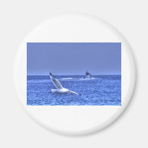 HDR Seagull Fishing Boat Going Out to Sea Refrigerator Magnet