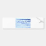 HDR Seagulls Checking Out Beach Coastline Bumper Sticker