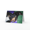 HE AINT HEAVY HE'S MY BROTHER. BIRTHDAY CARD