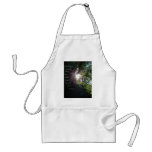 He awakens me... aprons