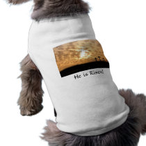 He is Risen! Pet Tee
