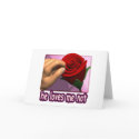 He Loves Me Not cards