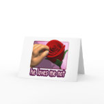 He Loves Me Not cards