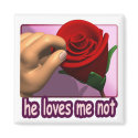 He Loves Me Not magnets