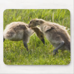 He Started It!-mousepadcopy