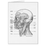 HEAD AND NECK ANATOMY T-SHIRTS AND GIFTS cards