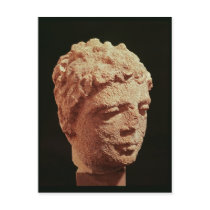 Head of a Divinity Postcard
