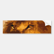 Head of African Lion Bumper Stickers