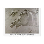 Head Of The Horse By Benjamin Robert Haydon postcards