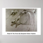 Head Of The Horse By Benjamin Robert Haydon posters
