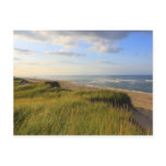 Head of the Meadow Beach Truro Cape Cod postcards