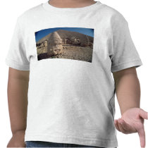 Head of Zeus-Oromandes Shirt