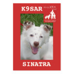 head-SINATRA, KlassKids Search Team K9 business cards