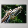 Heads Up Driftwood Horse Poster