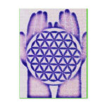 Healing Hands Holding Flower of Life. postcards